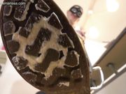 Madame Marissa - Eat From My Boot Soles Loser