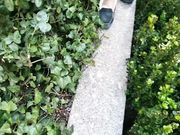 Wrinkled Soles For Days