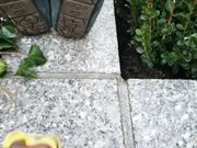 Wrinkled Soles For Days