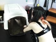 CruelCity - Canine Slave Worships Isobel’s Shiny Leather Boots