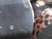 Anais Jolie Beautiful shoes