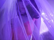 Emily Grey - Neon Neko Retired