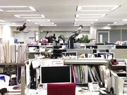 JAPANESE OFFICE GIRL STINKY NYLON FEET